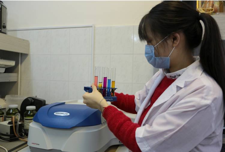 BelSU scientists proposed an effective and low-cost method to purify water of dyes 